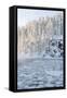Icy Water in Snowy Forest-Risto0-Framed Stretched Canvas