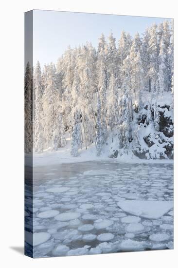Icy Water in Snowy Forest-Risto0-Stretched Canvas