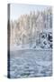 Icy Water in Snowy Forest-Risto0-Stretched Canvas