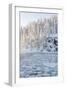 Icy Water in Snowy Forest-Risto0-Framed Photographic Print