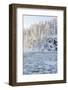 Icy Water in Snowy Forest-Risto0-Framed Photographic Print