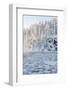 Icy Water in Snowy Forest-Risto0-Framed Photographic Print