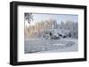 Icy Water in Snowy Forest-Risto0-Framed Photographic Print