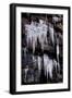 Icycles-Charles Bowman-Framed Photographic Print