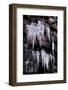 Icycles-Charles Bowman-Framed Photographic Print