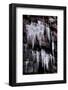 Icycles-Charles Bowman-Framed Photographic Print