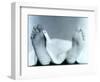 ID Tag on Cadaver-Cristina-Framed Photographic Print