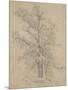 Wood Mount