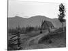 Idaho: Farm, 1939-Dorothea Lange-Stretched Canvas