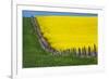 Idaho, Grangeville, Canola Field in Full Fresh Bloom Along Fence-Terry Eggers-Framed Premium Photographic Print