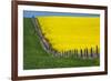 Idaho, Grangeville, Canola Field in Full Fresh Bloom Along Fence-Terry Eggers-Framed Premium Photographic Print