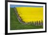 Idaho, Grangeville, Canola Field in Full Fresh Bloom Along Fence-Terry Eggers-Framed Premium Photographic Print