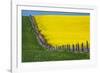 Idaho, Grangeville, Canola Field in Full Fresh Bloom Along Fence-Terry Eggers-Framed Photographic Print