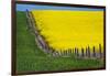 Idaho, Grangeville, Canola Field in Full Fresh Bloom Along Fence-Terry Eggers-Framed Photographic Print