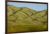 Idaho, Hillside with Small Creeks That Flow into the Salmon River-Alison Jones-Framed Photographic Print