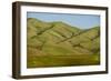 Idaho, Hillside with Small Creeks That Flow into the Salmon River-Alison Jones-Framed Photographic Print