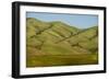 Idaho, Hillside with Small Creeks That Flow into the Salmon River-Alison Jones-Framed Photographic Print