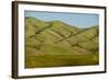 Idaho, Hillside with Small Creeks That Flow into the Salmon River-Alison Jones-Framed Photographic Print