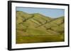 Idaho, Hillside with Small Creeks That Flow into the Salmon River-Alison Jones-Framed Photographic Print