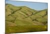 Idaho, Hillside with Small Creeks That Flow into the Salmon River-Alison Jones-Mounted Photographic Print