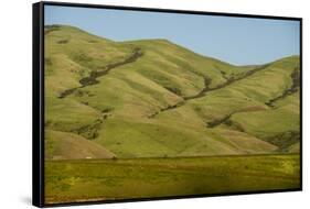 Idaho, Hillside with Small Creeks That Flow into the Salmon River-Alison Jones-Framed Stretched Canvas