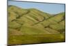 Idaho, Hillside with Small Creeks That Flow into the Salmon River-Alison Jones-Mounted Photographic Print