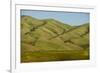 Idaho, Hillside with Small Creeks That Flow into the Salmon River-Alison Jones-Framed Photographic Print