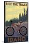 Idaho - Mountain Bike Scene-Lantern Press-Stretched Canvas