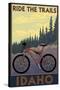 Idaho - Mountain Bike Scene-Lantern Press-Stretched Canvas