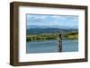 Idaho Spring Creek Fly Fishing-null-Framed Art Print