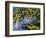 Idaho, Yellowstone National Park, USA-Paul Harris-Framed Photographic Print