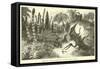 Ideal Landscape of the Liassic Period-null-Framed Stretched Canvas