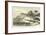 Ideal Landscape of the Middle Oolite Period-null-Framed Giclee Print