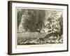 Ideal Landscape of the Permian Period-null-Framed Giclee Print