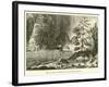 Ideal Landscape of the Permian Period-null-Framed Giclee Print