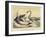 Ideal Scene of the Lias with Ichthyosaurus and Plesiosaurus-null-Framed Giclee Print