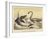 Ideal Scene of the Lias with Ichthyosaurus and Plesiosaurus-null-Framed Giclee Print