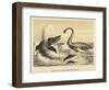 Ideal Scene of the Lias with Ichthyosaurus and Plesiosaurus-null-Framed Giclee Print