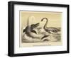 Ideal Scene of the Lias with Ichthyosaurus and Plesiosaurus-null-Framed Giclee Print