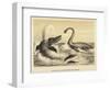 Ideal Scene of the Lias with Ichthyosaurus and Plesiosaurus-null-Framed Giclee Print