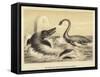Ideal Scene of the Lias with Ichthyosaurus and Plesiosaurus-null-Framed Stretched Canvas