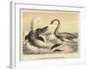 Ideal Scene of the Lias with Ichthyosaurus and Plesiosaurus-null-Framed Giclee Print