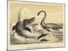 Ideal Scene of the Lias with Ichthyosaurus and Plesiosaurus-null-Mounted Giclee Print