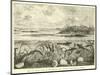 Ideal View of the Marine Life of the Carboniferous System-null-Mounted Giclee Print