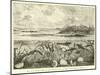 Ideal View of the Marine Life of the Carboniferous System-null-Mounted Giclee Print