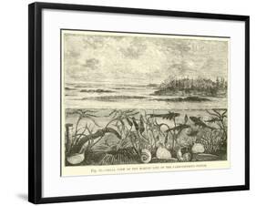 Ideal View of the Marine Life of the Carboniferous System-null-Framed Giclee Print