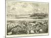 Ideal View of the Marine Life of the Carboniferous System-null-Mounted Giclee Print