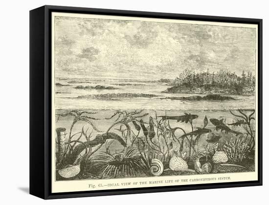 Ideal View of the Marine Life of the Carboniferous System-null-Framed Stretched Canvas