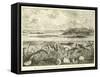 Ideal View of the Marine Life of the Carboniferous System-null-Framed Stretched Canvas