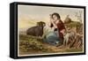 Idealised Victorian Shepherdess-null-Framed Stretched Canvas